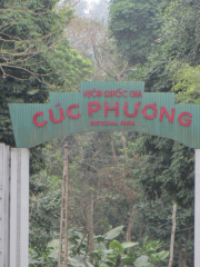 Cuc Phuong National Park