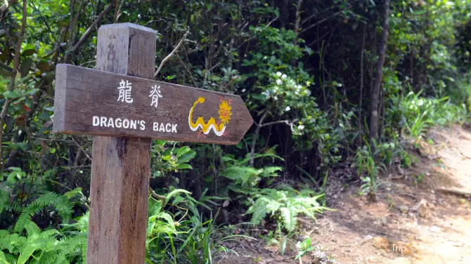 3_龍脊