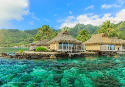 Moorea