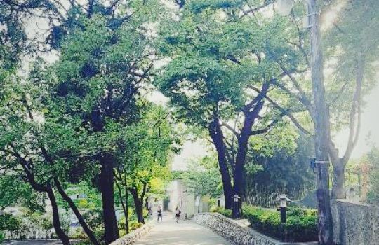 Cheongra