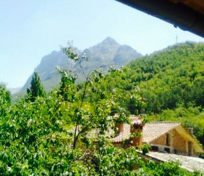 Montebove