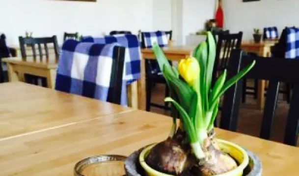 Wittco Fisk & Skaldyr