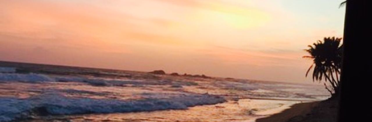 Sunny's Beach Ocean View Restaurant