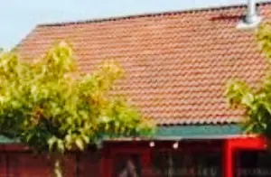 Den Heibaard