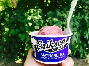 Erikson's Ice Cream