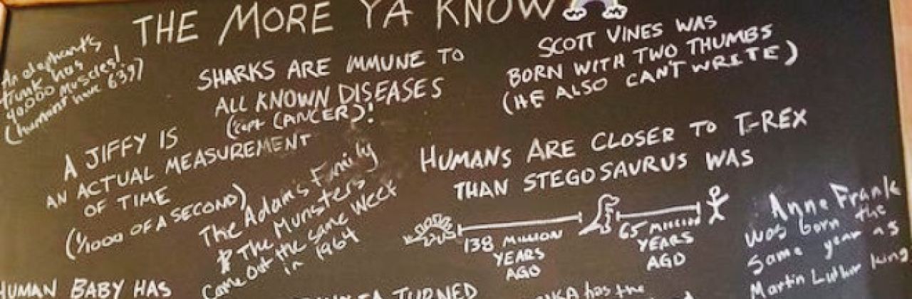 Arabella Casa Di Pasta