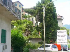 I lagolosi