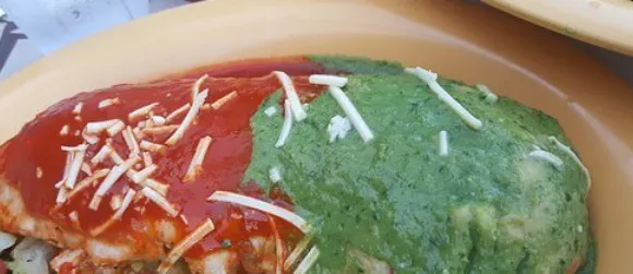 El Papagayo