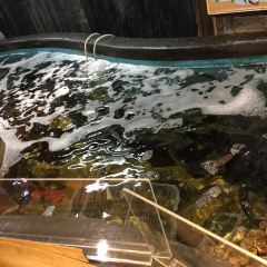Seafood market Nagasakiko Dejima wharf User Photo