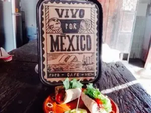 Vivo Por Mexico