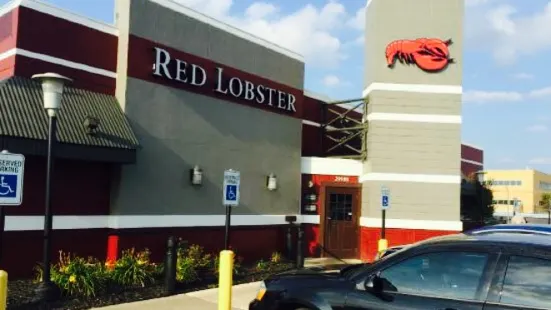 Red Lobster