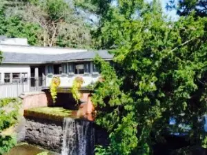 The Mill on the River