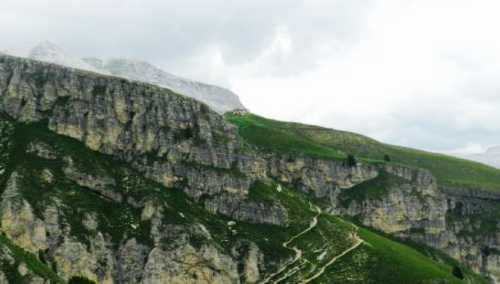 Stevia Hutte Baita