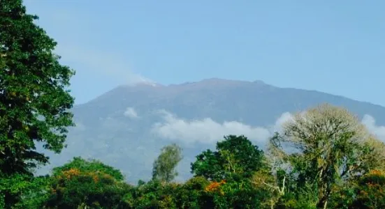 Volcan Turrialba Lodge Restaurant