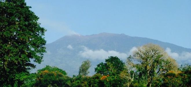 Volcan Turrialba Lodge Restaurant