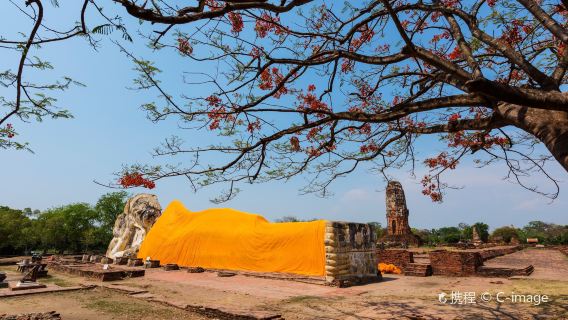 왓 포(Wat Pho), 왓 프라 시 산펫(Wat Phra Si Sanphet), 왓 차이와타나람(Wat Chaiwatthanaram), 왓 마하탓(Wat Mahathat) 일일 투어
