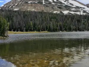 Mirror Lake Diner