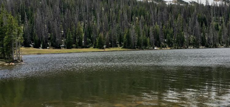 Mirror Lake Diner