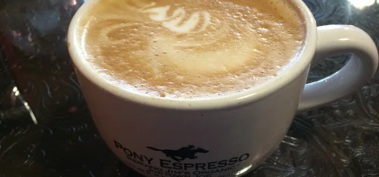 Pony Espresso Organic