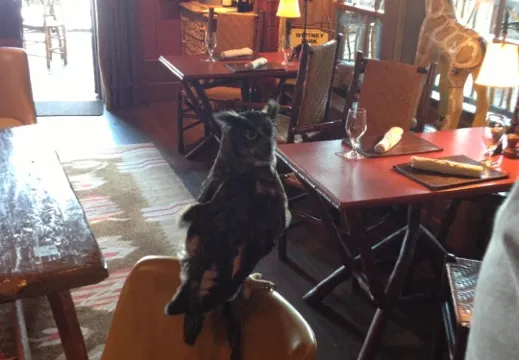 Artisans at the Lake Placid Lodge