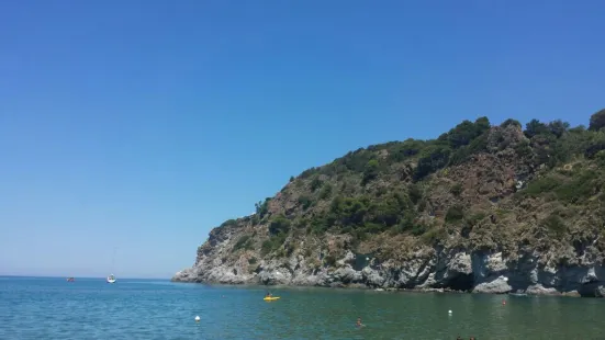 Ristorante La Rondinella da Anna （Spiaggia di San Francesco）