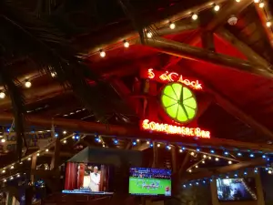 Margaritaville Syracuse