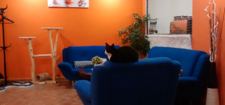 Envi Cafe