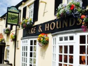 Hare and Hounds