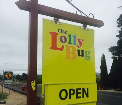 The Lolly Bug
