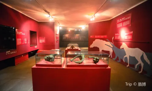 Nationalmuseum von Äthiopien