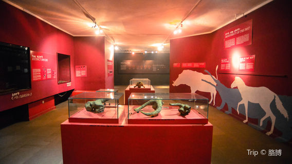 National Museum of Ethiopia
