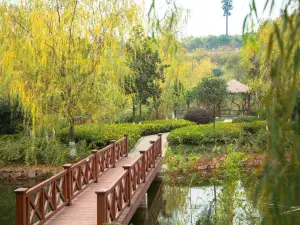 Popular Fall Viewing Attractions in Jianyang