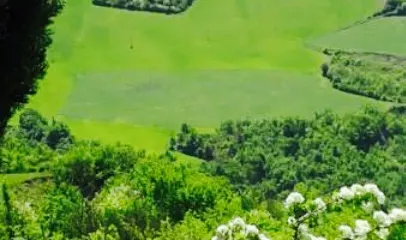 Agriturismo La Collina Dei Mandorli Ristorante