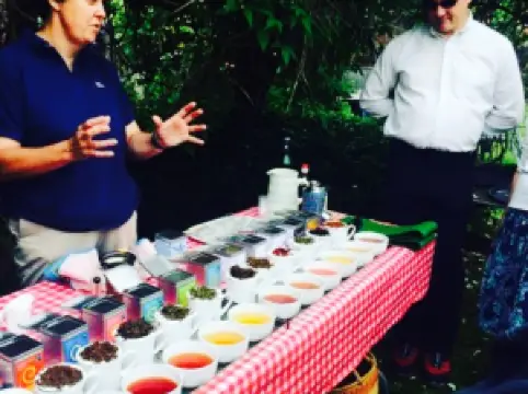 Trumpet Corner Tearoom Gallery Garden