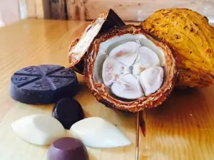 Xocowa Chocolateria