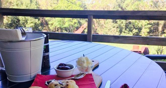 Yatte Yattah Nursery & Cafe