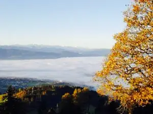 Restaurant Bachtel-Kulm