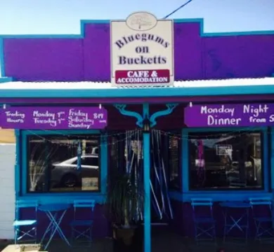 Bluegums on Bucketts