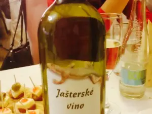Viecha Jaster