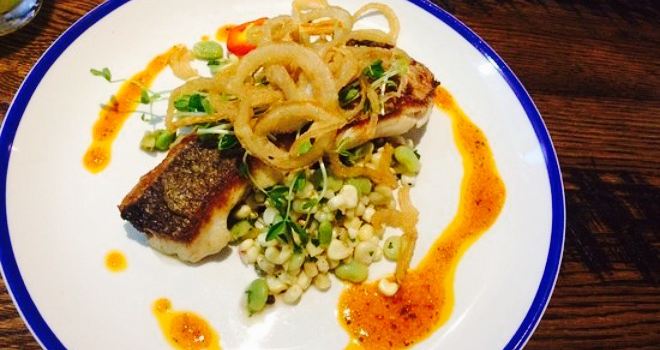 Bluecoast Seafood Grill & Raw Bar Rehoboth