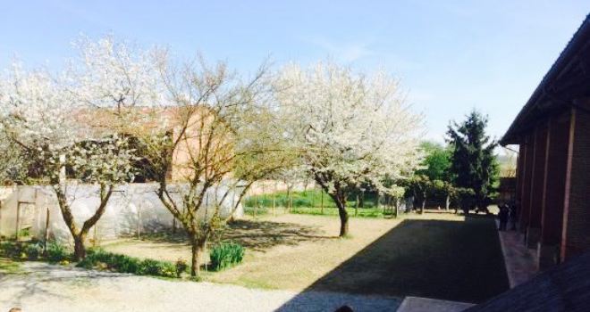 Agriturismo San Michele