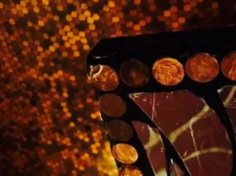 Vinny's Euro American Restaurant