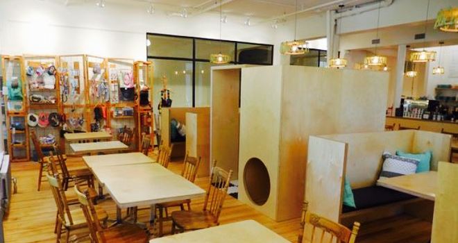 Mousse Café, coopérative de solidarité
