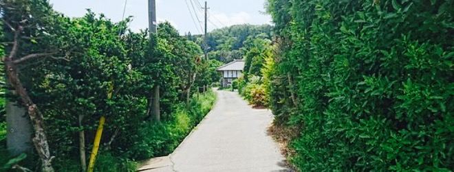 Mura no Pizzaya Campagna