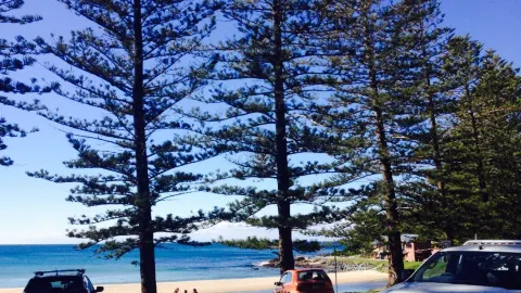 Waves @ Blackhead in Forster
