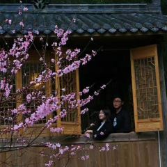 慶元縣三丘田休閑農莊張用戶圖片