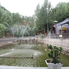 王家大院民宿餐饮 User Photo