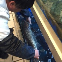 老站(大生店) User Photo