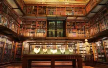 The Morgan Library & Museum