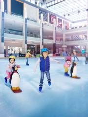 Dubai Ice Rink